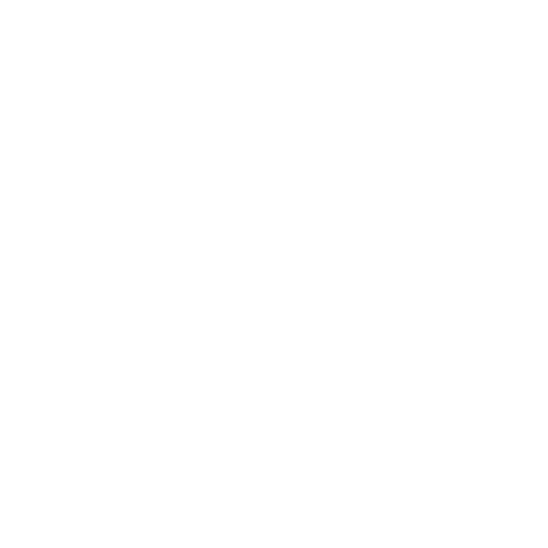 Vireo Consult Empowering Futures, Guiding Success.